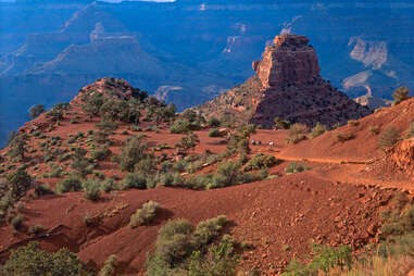 people hiking down into the Grand Canyon