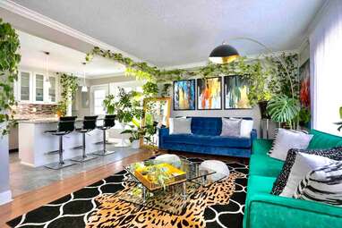 St. Louis house with urban jungle vibes