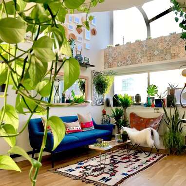 Plant-filled penthouse on the Lower East Side