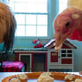Minnow the Dog Shares His Burrito With Blossom The Turkey