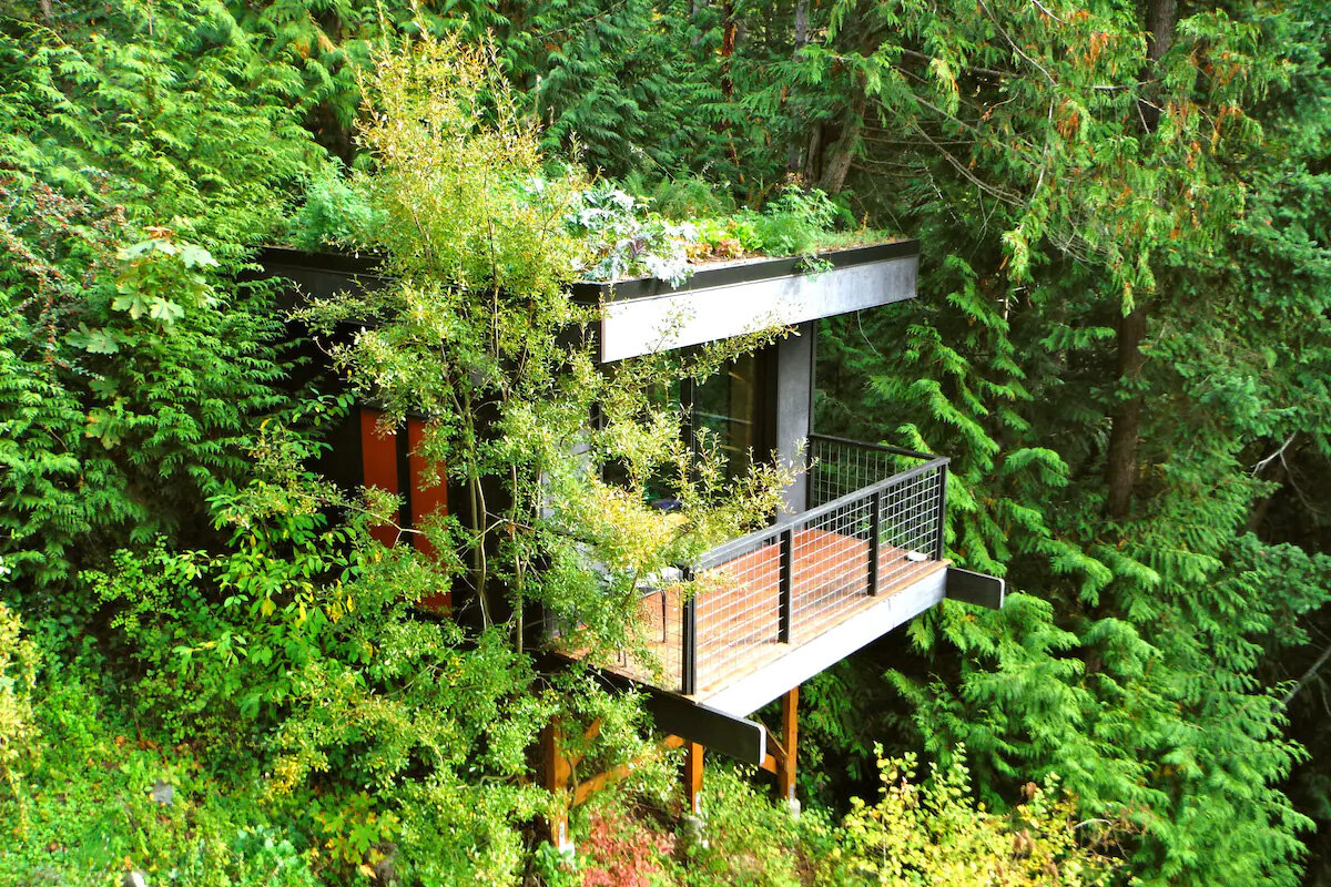 Tree-covered lookout near the Canadian border
