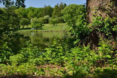 Morton Arboretum