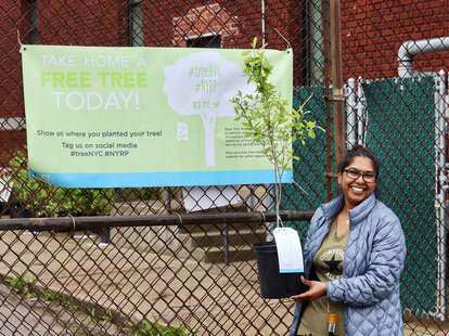 New York Restoration Project