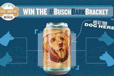 Busch Beer Wants to Put Your Dog on Its New Dog Brew Cans - Thrillist