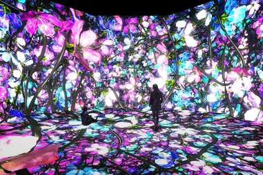 ARTECHOUSE