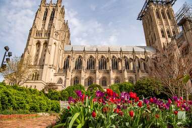 Washington National Cathedral