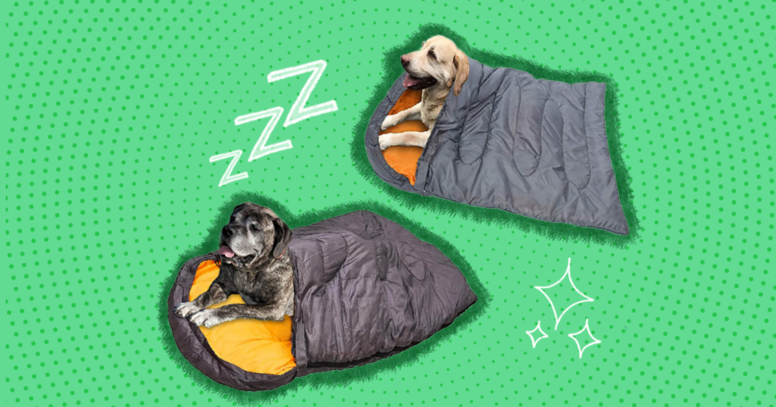 5 Dog Sleeping Bags For Camping, Hiking Or Snuggling At Home DodoWell