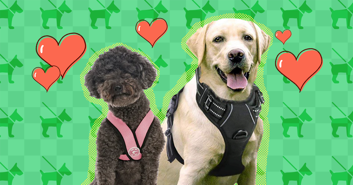 what are the different types of dog harnesses