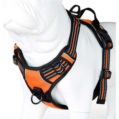 Best front-clip dog harness for big dogs: juxzh Truelove Soft Front Harness