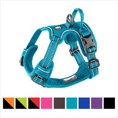 Best front-clip dog harness for small dogs: Chai’s Choice Outdoor Adventure Front Clip Harness