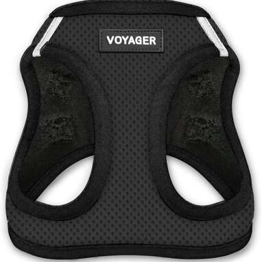 Best puppy harness: Voyager Step-In Air Harness