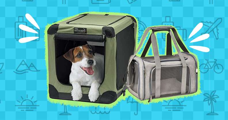 EveryYay Places To Go Black Pet Carrier, Small