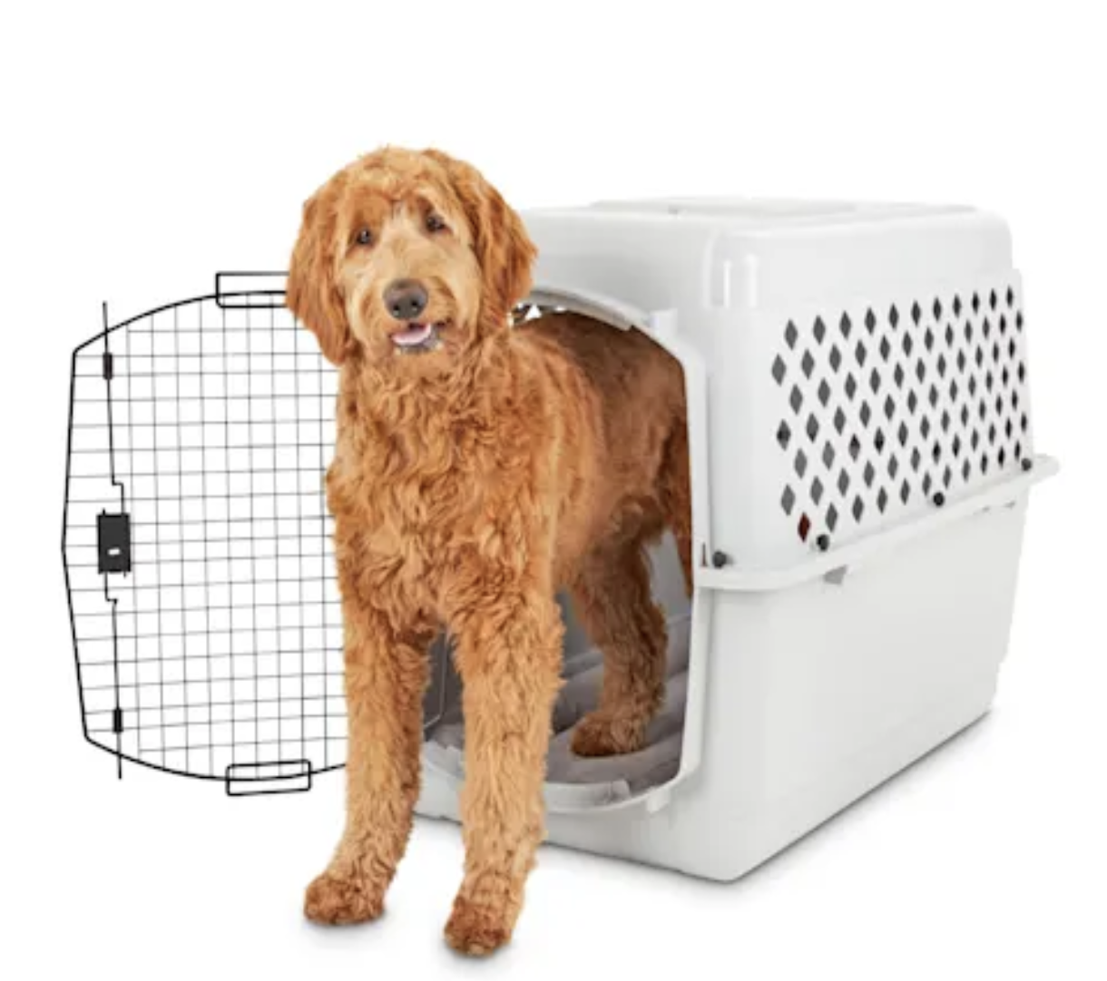 Basics Folding Portable Soft Pet Crate Reviews: Does It Work? - Paw  of Approval - The Dodo