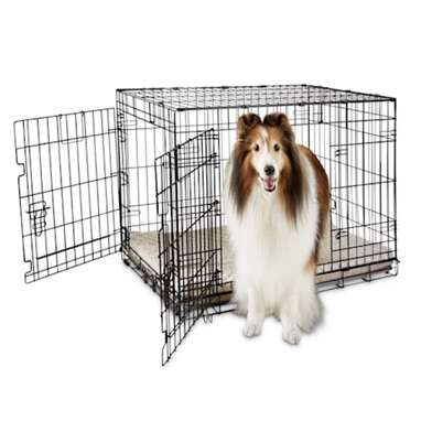 Best wire crate for big dogs: You & Me 2-Door Folding Dog Crate