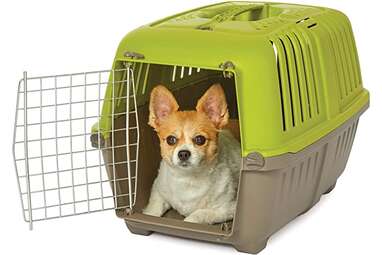 Best crate for chihuahua online