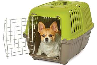 8 Dog Crates For Every Type Of Pup DodoWell The Dodo