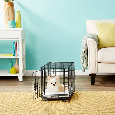 Basics Folding Portable Soft Pet Crate Reviews: Does It Work? - Paw  of Approval - The Dodo