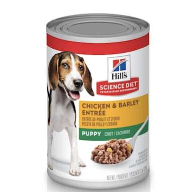 When can you sales feed puppies wet food