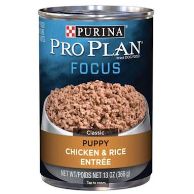 Purina Pro Plan Pate FOCUS Classic Chicken & Rice Entree Wet Puppy Food, 13 oz., Case of 12