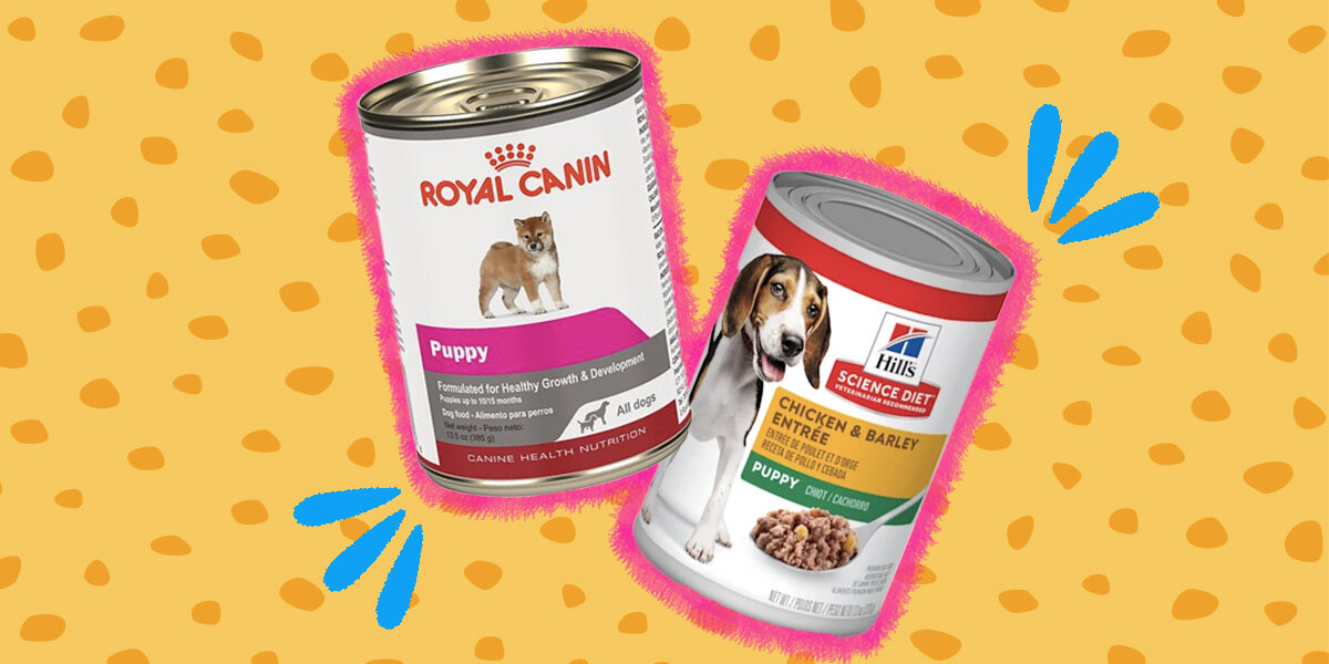 Is royal best sale canin aafco approved