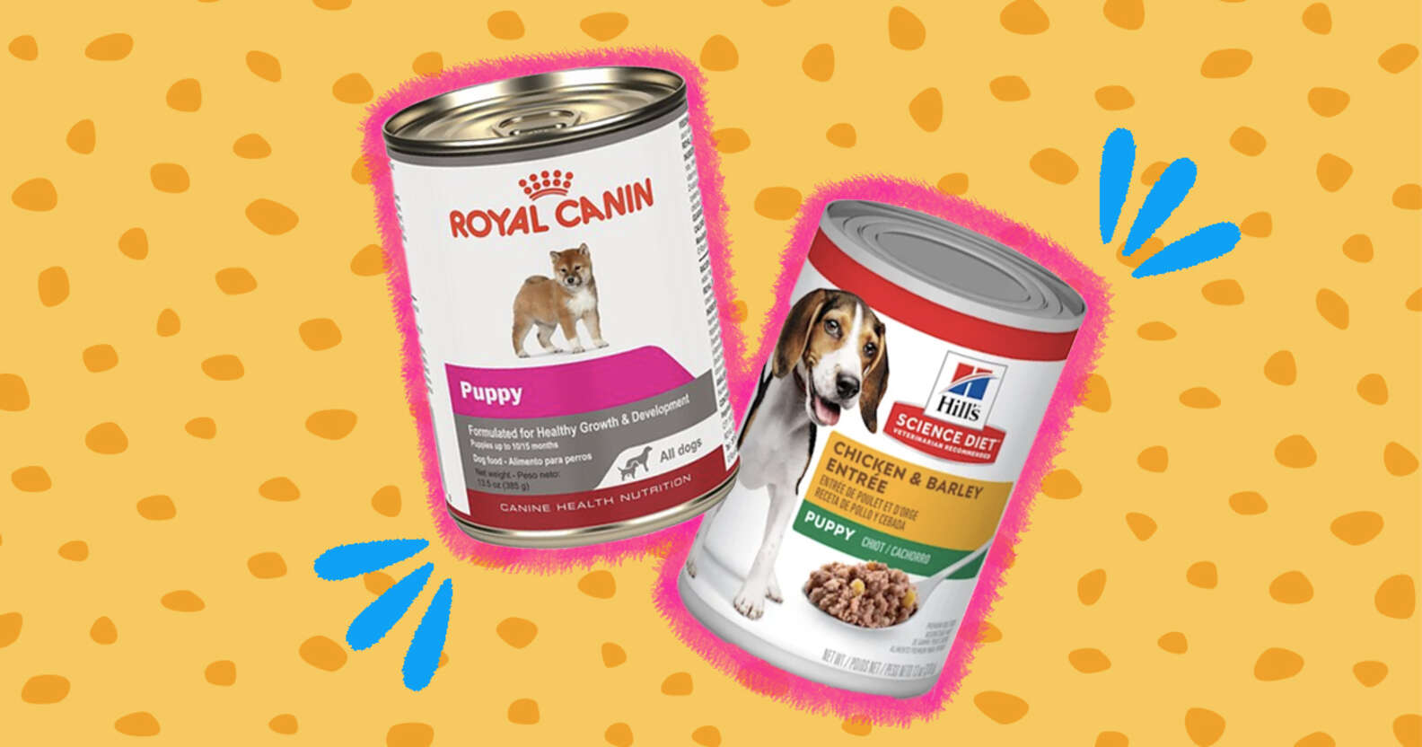 Best Wet Puppy Food, According To Vets DodoWell The Dodo