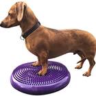 dog balance disc