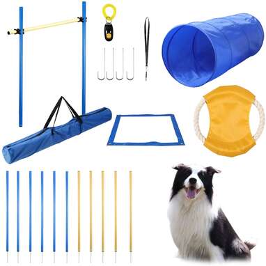 Outdoor Dog Exercise Equipment