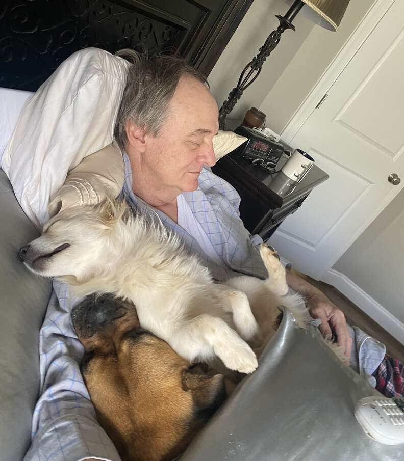 Papai se aconchega com os cachorros da vizinhança