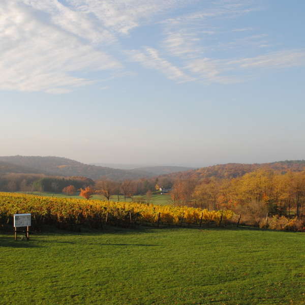 Millbrook Winery Day Trip Travel Thrillist New York