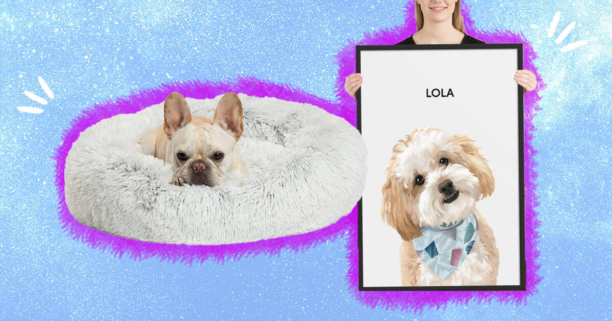 10 Gifts For Someone Who Just Adopted A New Dog - DodoWell - The Dodo