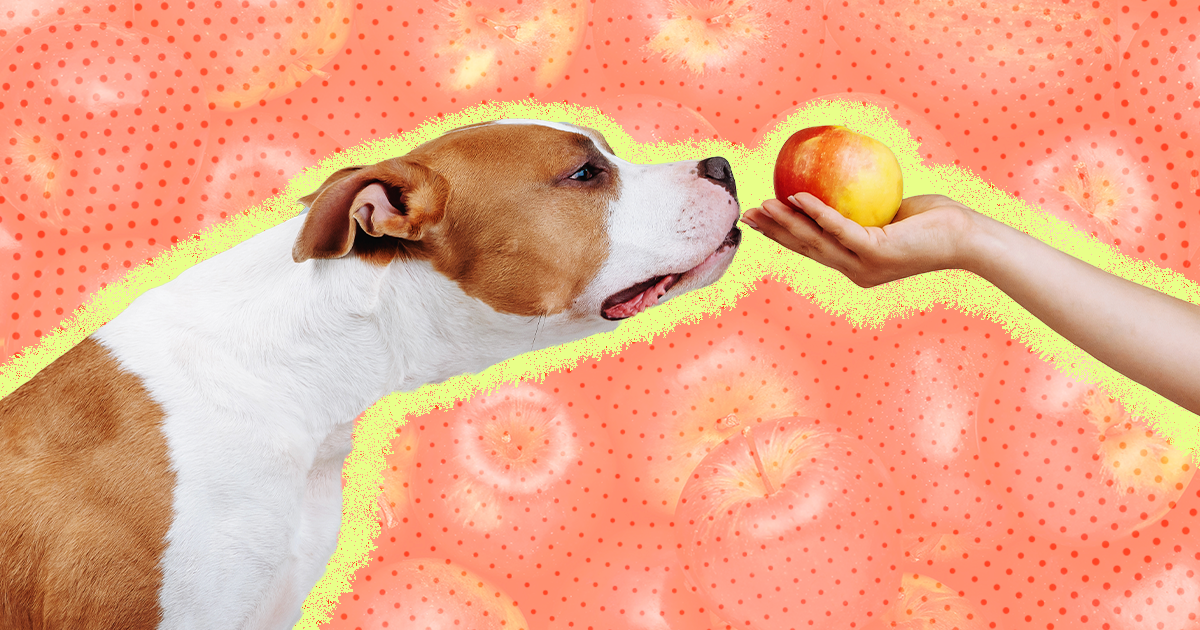 are green apples good for dogs