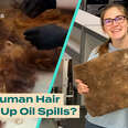 Nonprofit Uses Donated Hair to Soak Up Oil Spills