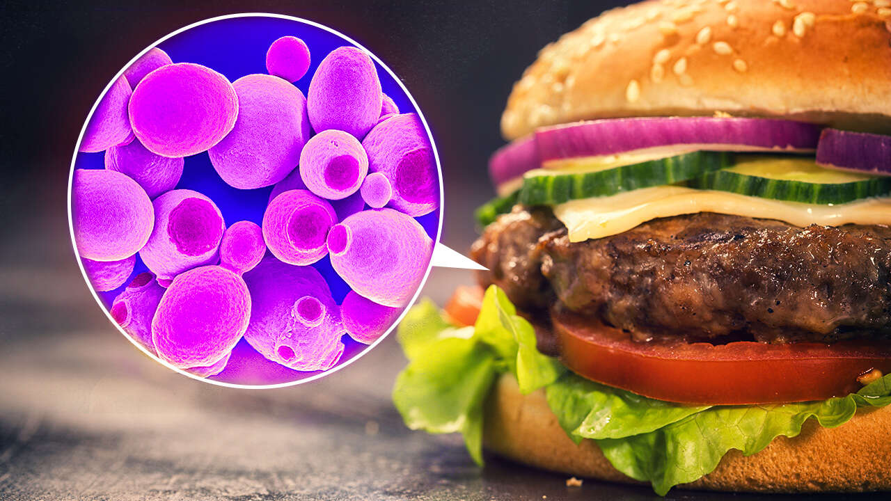 Your Next Burger Could Be Made With Microbes