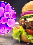 Your Next Burger Could Be Made With Microbes
