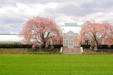 Haupt Conservatory at New York Botanical Garden in the Bronx