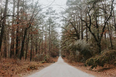ac_casa/Shutterstock.com