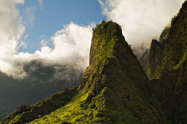 green jungle mountains