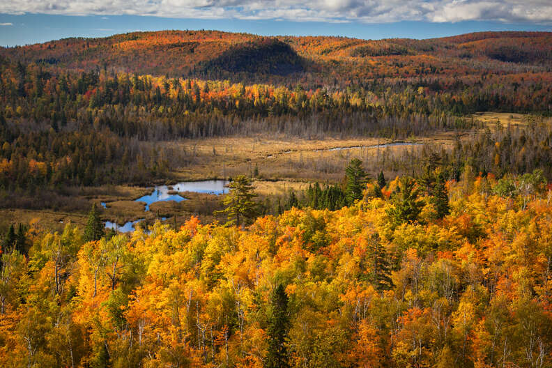 a lake near fall foliage