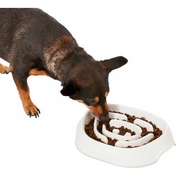 These Best Dog Bowls Dish It Up For Your Pups – Wild One