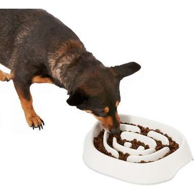 Best slow feeder: Frisco Non-Slip Slow Feeder Bowl