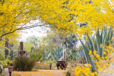 Farm stay with goats, bunnies, and tortoises