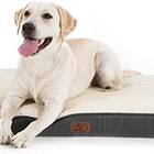 Most budget-friendly dog bed: Bedsure Orthopedic Foam Dog Bed