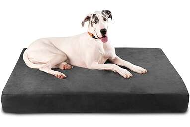Best for giant breeds: Big Barker 7" Pillow Top