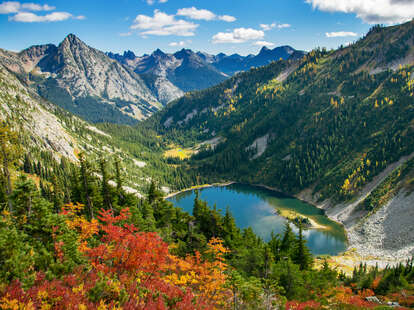 are dogs allowed in north cascades national park