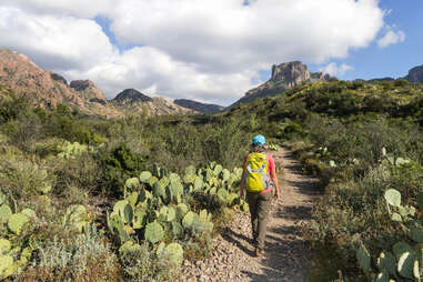 Big Bend National Park