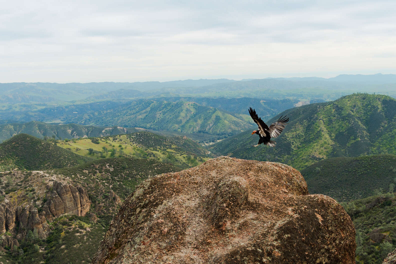 What It Takes to Become a National Park Ranger - Thrillist Australia