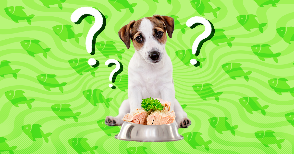 can dogs get mercury poisoning from fish