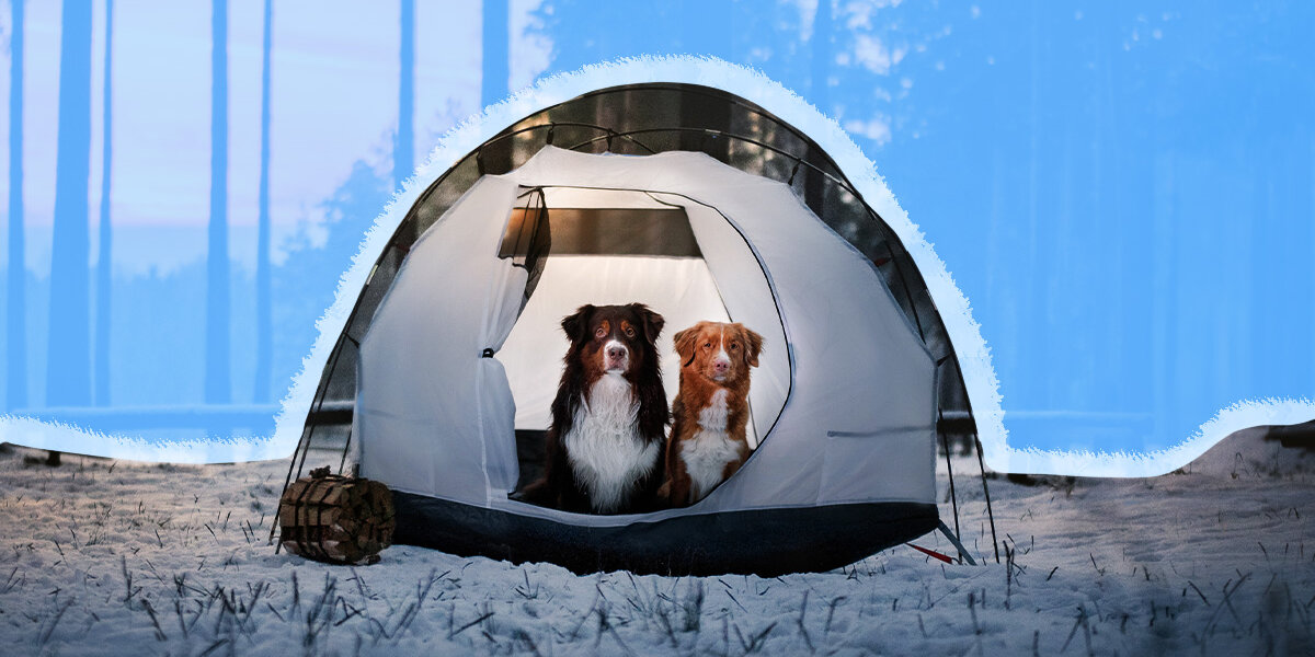 8 Winter Tent Camping Tips to Keep You Cozy in The Cold Weather