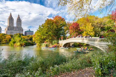 people in canoes boating beneath a bridge in new york's central park