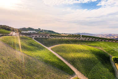 Daou Vineyards & Winery